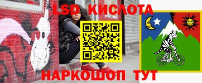 ГАЛЛЮЦИНОГЕННЫЕ ГРИБЫ Будённовск