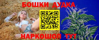 ГАЛЛЮЦИНОГЕННЫЕ ГРИБЫ Будённовск
