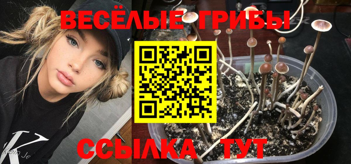 Галлюциногенные грибы GOLDEN TEACHER Сосновоборск