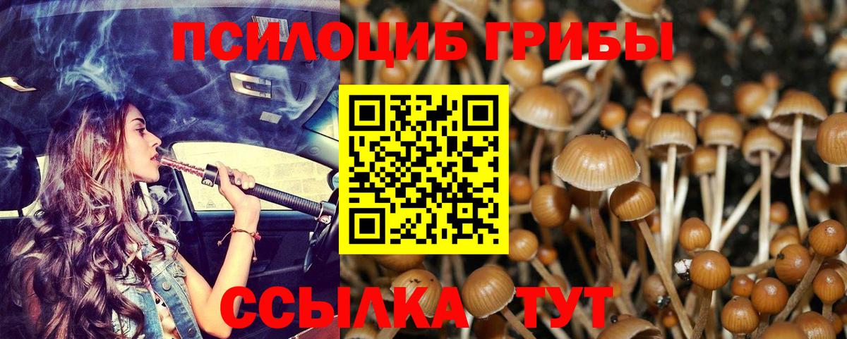 Галлюциногенные грибы Magic Shrooms  Псилоцибиновые грибы прущие грибы  Сосновоборск  закладки  Вход с VPN 